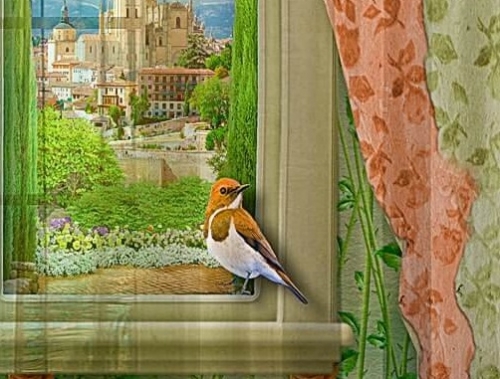 Фототюль Женский уголок