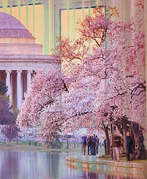 3d фототюль Сиреневый вечер