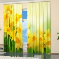Фотошторы с печатью 3d изображений Желтые нарциссы