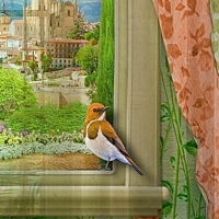 Фототюль Женский уголок