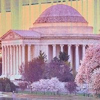 3d фототюль Сиреневый вечер